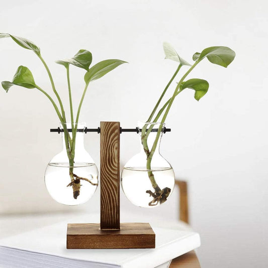 Stand Glass Planter Bulb Vase with Wooden Stand